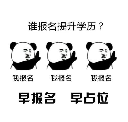 成都英贤教育咨询有限公司